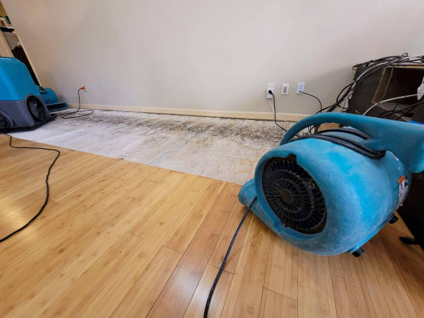 Professional Sewage Cleanup technician working in Oak Park, MI